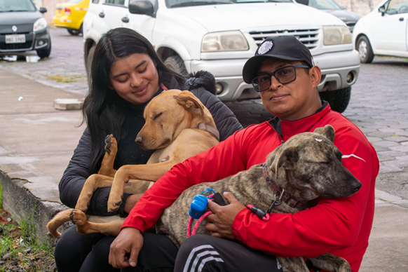 Más perros y gatos esterilizados en San Antonio del Aeropuerto