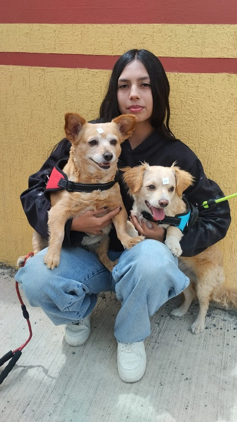  “Campaña de Esterilización” en el barrio Nuevo Amanecer